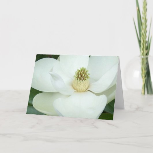 Overdreven magnolia kaart (Voorkant)