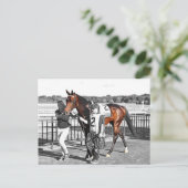 Overdrijver Briefkaart (Staand voorkant)