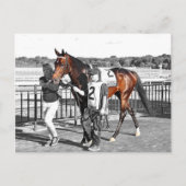 Overdrijver Briefkaart (Voorkant)