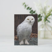 Overeenkomend Briefkaart met schuifregelaars (Staand voorkant)