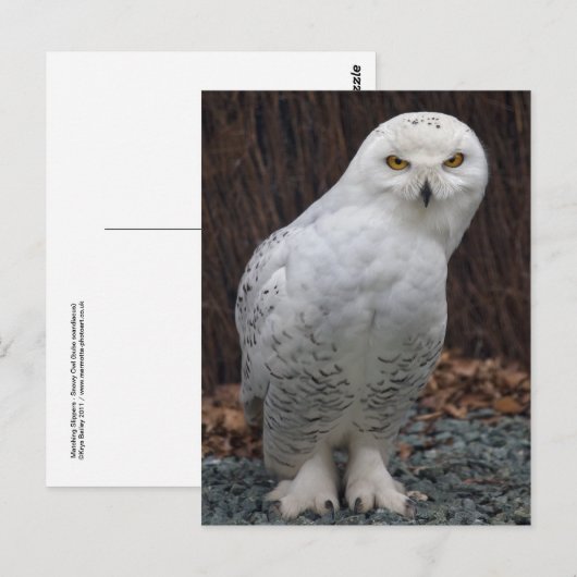 Overeenkomend Briefkaart met schuifregelaars (Voorkant / Achterkant)