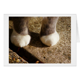 Overeenkomende sockets