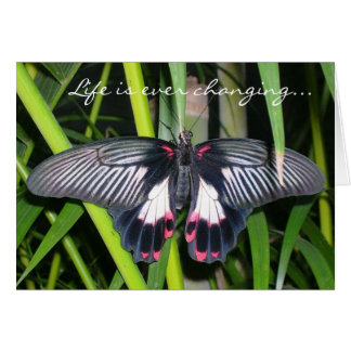 Overgang, levensverandering