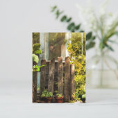 Overgeteelde tuin in ochtendzonlicht briefkaart (Staand voorkant)