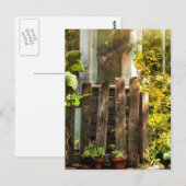 Overgeteelde tuin in ochtendzonlicht briefkaart (Voorkant / Achterkant)