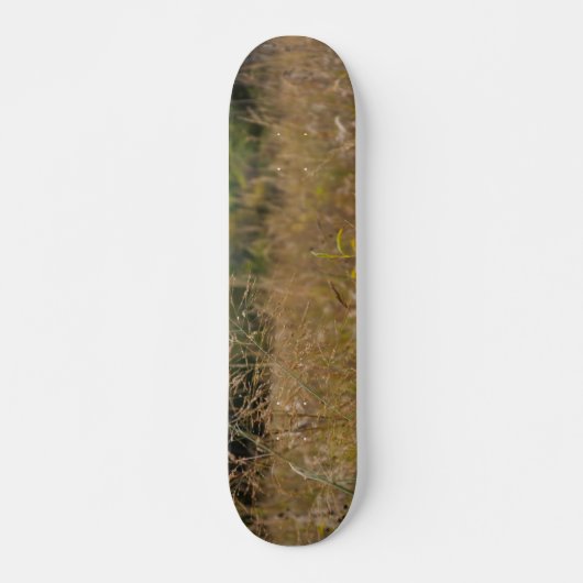 Overgroeid Prairie Persoonlijk Skateboard (Voorkant)