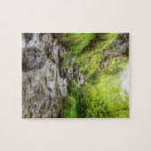 Overgroeid Shallow Creek Waterval Legpuzzel (Horizontaal)