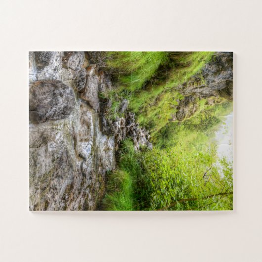 Overgroeid Shallow Creek Waterval Legpuzzel (Horizontaal)