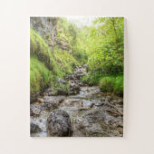 Overgroeid Shallow Creek Waterval Legpuzzel (Verticaal)