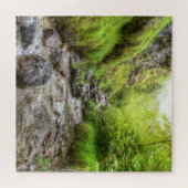 Overgroeid Shallow Creek Waterval Legpuzzel (Horizontaal)