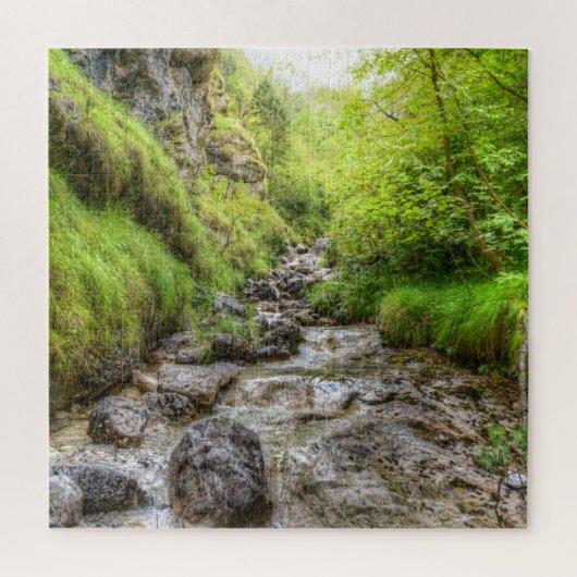 Overgroeid Shallow Creek Waterval Legpuzzel (Verticaal)