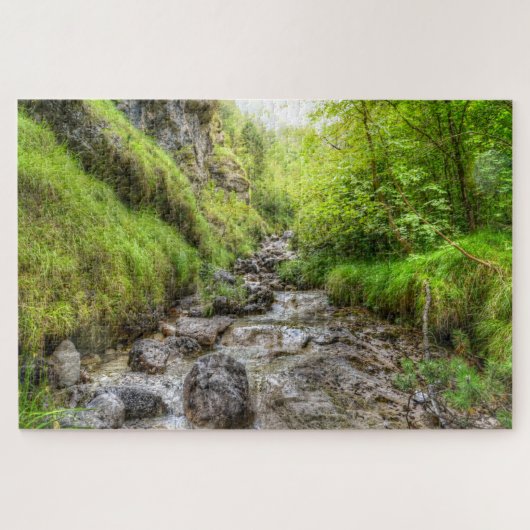 Overgroeid Shallow Creek Waterval Legpuzzel (Horizontaal)