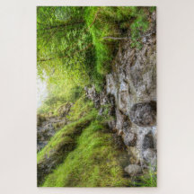 Overgroeid Shallow Creek Waterval
