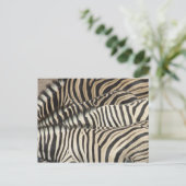 Overhead uitzicht van de Zebra van Burchell Briefkaart (Staand voorkant)