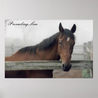 Overheersende lijndruk poster