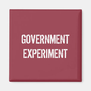 Overheidsexperiment Magneet