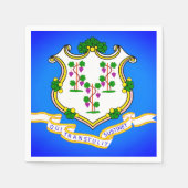 Overheidskuil van Connecticut Paper Party Napkins Servet (Voorkant)