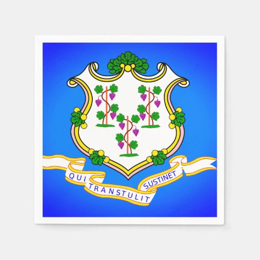 Overheidskuil van Connecticut Paper Party Napkins Servet (Voorkant)