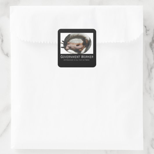 Overheidsmedewerker Stickers (Tas)