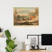 Overland Mail Company (1268A) Poster (Thuiskantoor)