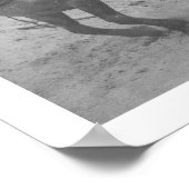 Overland Trail Horses Alaska 1908 Poster (Hoek)