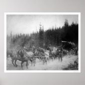 Overland Trail Horses Alaska 1908 Poster (Voorkant)