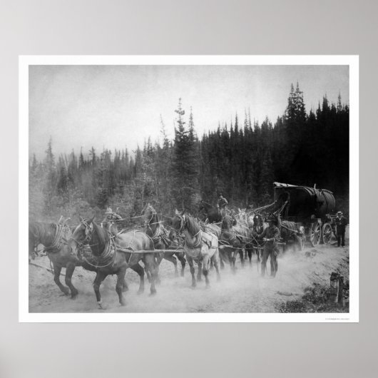 Overland Trail Horses Alaska 1908 Poster (Voorkant)