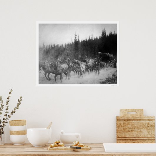 Overland Trail Horses Alaska 1908 Poster (Keuken)