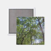 Overlappende bomen magneet (Voorkant / Achterkant)