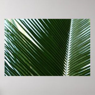 Overlappende palmbladeren Tropisch groen abstract Poster