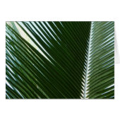 Overlapping Palm Fronds Tropical Green Abstract (Voorkant Horizontaal)