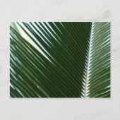 Overlapping Palm Fronds Tropical Green Abstract Briefkaart (Voorkant)