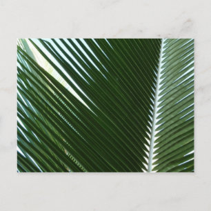 Overlapping Palm Fronds Tropical Green Abstract Briefkaart