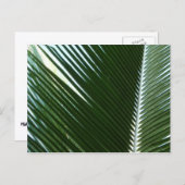 Overlapping Palm Fronds Tropical Green Abstract Briefkaart (Voorkant / Achterkant)