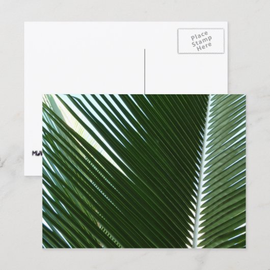 Overlapping Palm Fronds Tropical Green Abstract Briefkaart (Voorkant / Achterkant)