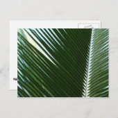Overlapping Palm Fronds Tropical Green Abstract Briefkaart (Voorkant / Achterkant)