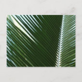 Overlapping Palm Fronds Tropical Green Abstract Briefkaart (Voorkant)