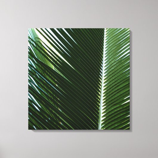 Overlapping Palm Fronds Tropical Green Abstract Canvas Afdruk (Voorkant)