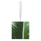 Overlapping Palm Fronds Tropical Green Abstract Decoratie (Rechts)
