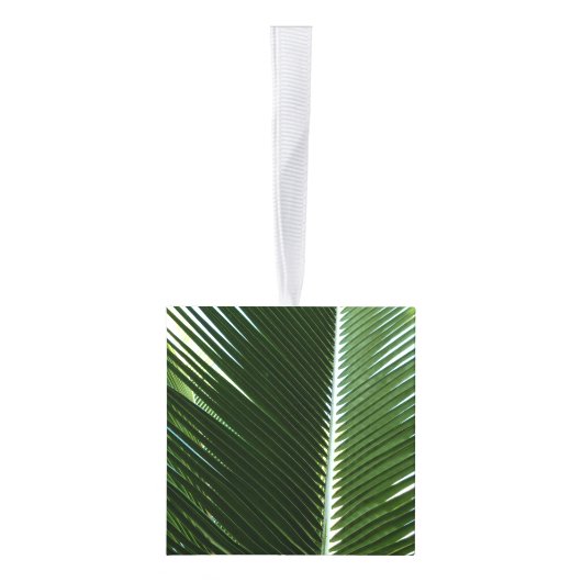 Overlapping Palm Fronds Tropical Green Abstract Decoratie (Rechts)
