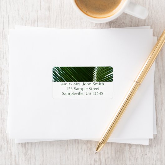 Overlapping Palm Fronds Tropical Green Abstract Etiket (Insitu)