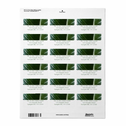 Overlapping Palm Fronds Tropical Green Abstract Etiket (Full Sheet)