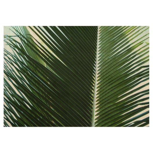 Overlapping Palm Fronds Tropical Green Abstract Houten Poster (Voorkant)