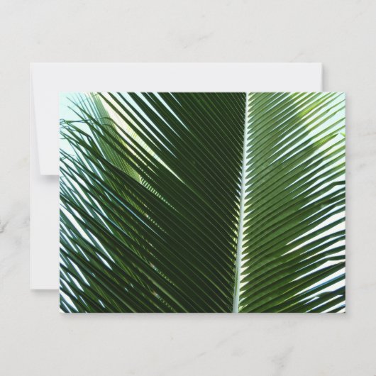 Overlapping Palm Fronds Tropical Green Abstract Kaart (Voorkant)