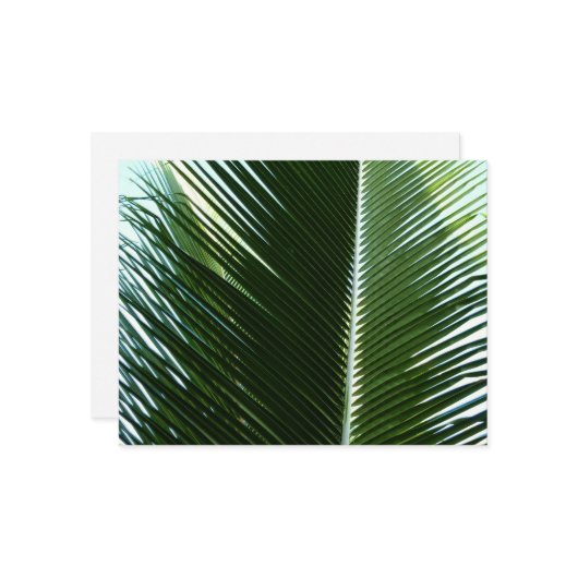 Overlapping Palm Fronds Tropical Green Abstract Kaart (Voorkant / Achterkant in situ)