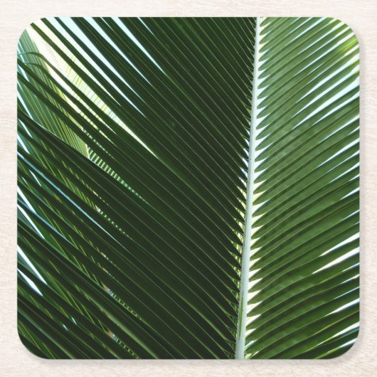 Overlapping Palm Fronds Tropical Green Abstract Kartonnen Onderzetters (Voorkant)