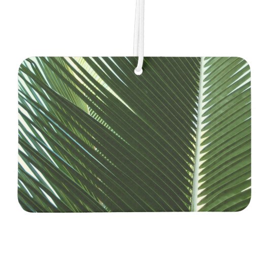 Overlapping Palm Fronds Tropical Green Abstract Luchtverfrisser (Achterkant)