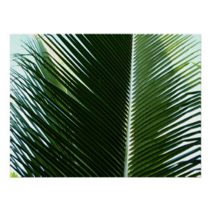 Overlapping Palm Fronds Tropical Green Abstract Perfect Poster