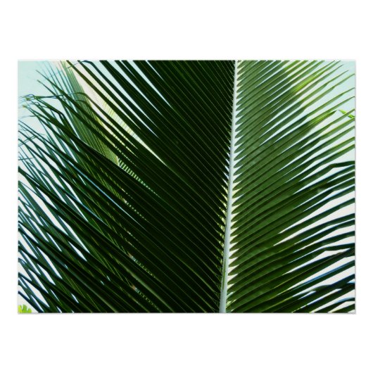 Overlapping Palm Fronds Tropical Green Abstract Perfect Poster (Voorkant)