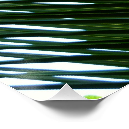 Overlapping Palm Fronds Tropical Green Abstract Perfect Poster (Hoek)